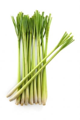 Benefits of Lemongrass Tea