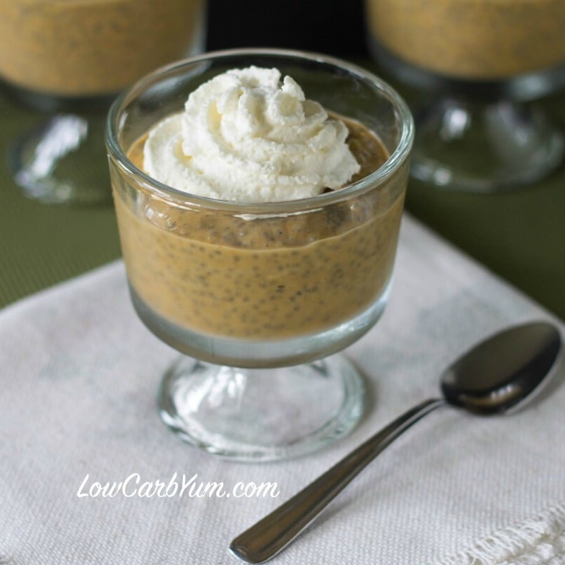 Low carb chia seed recipes