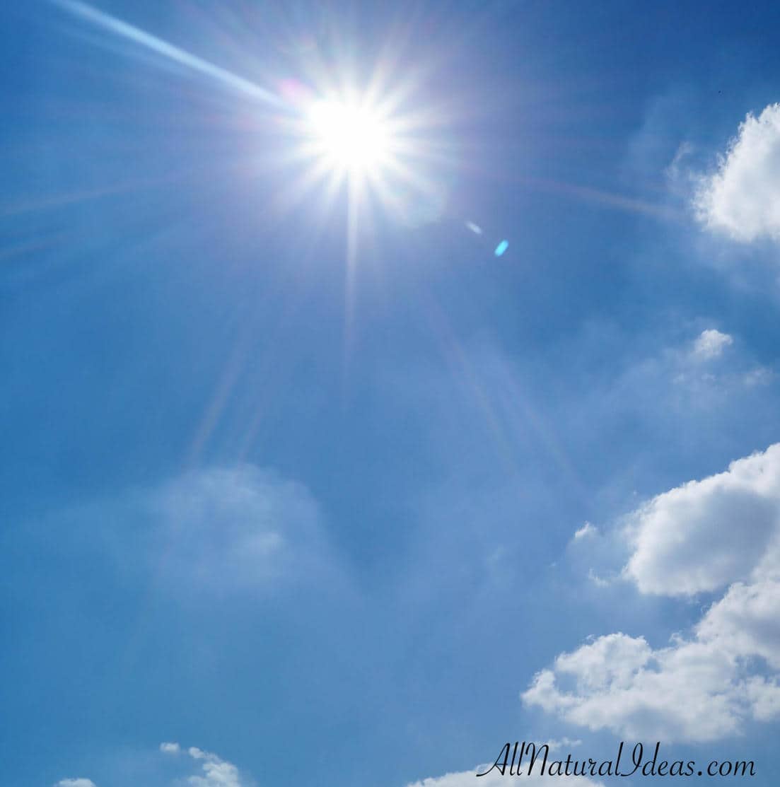 Vitamin D Important Functions for Health