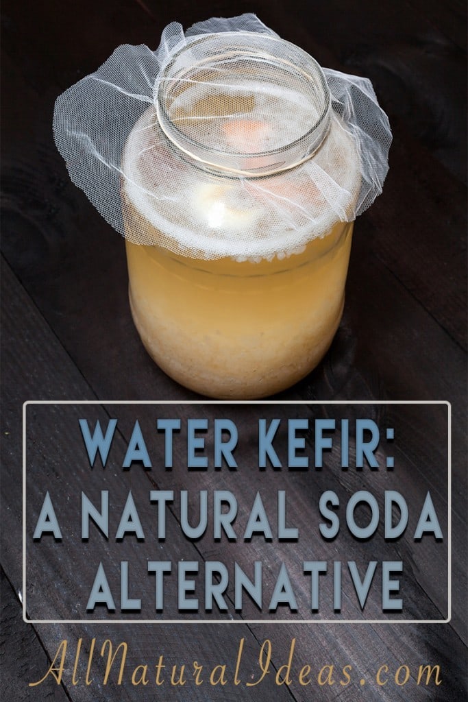 Water kefir natural soda alternative