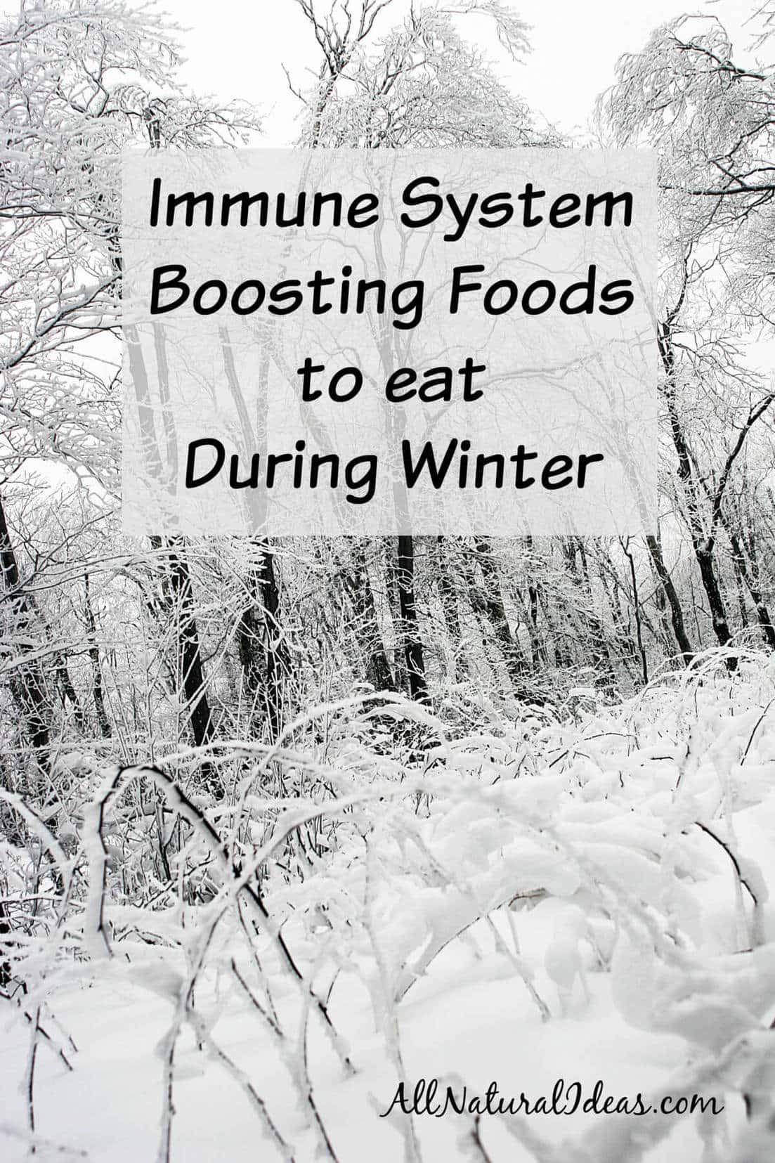 Immune system boosting foods to eat
