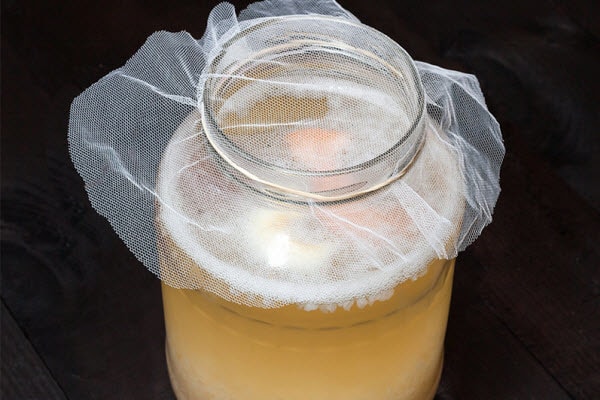 Water kefir natural soda alternative