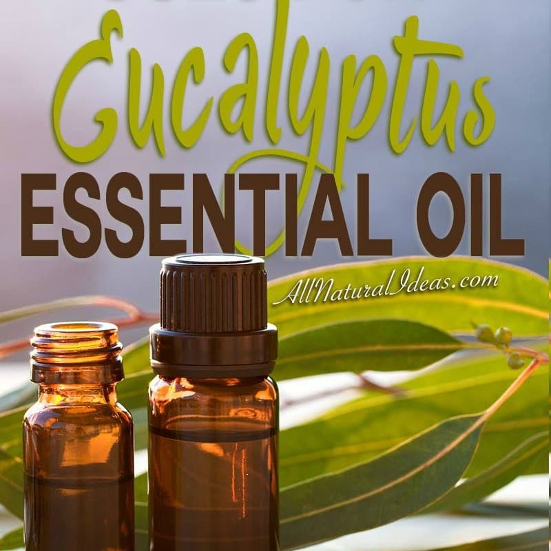 Eucalyptus essential oil uses