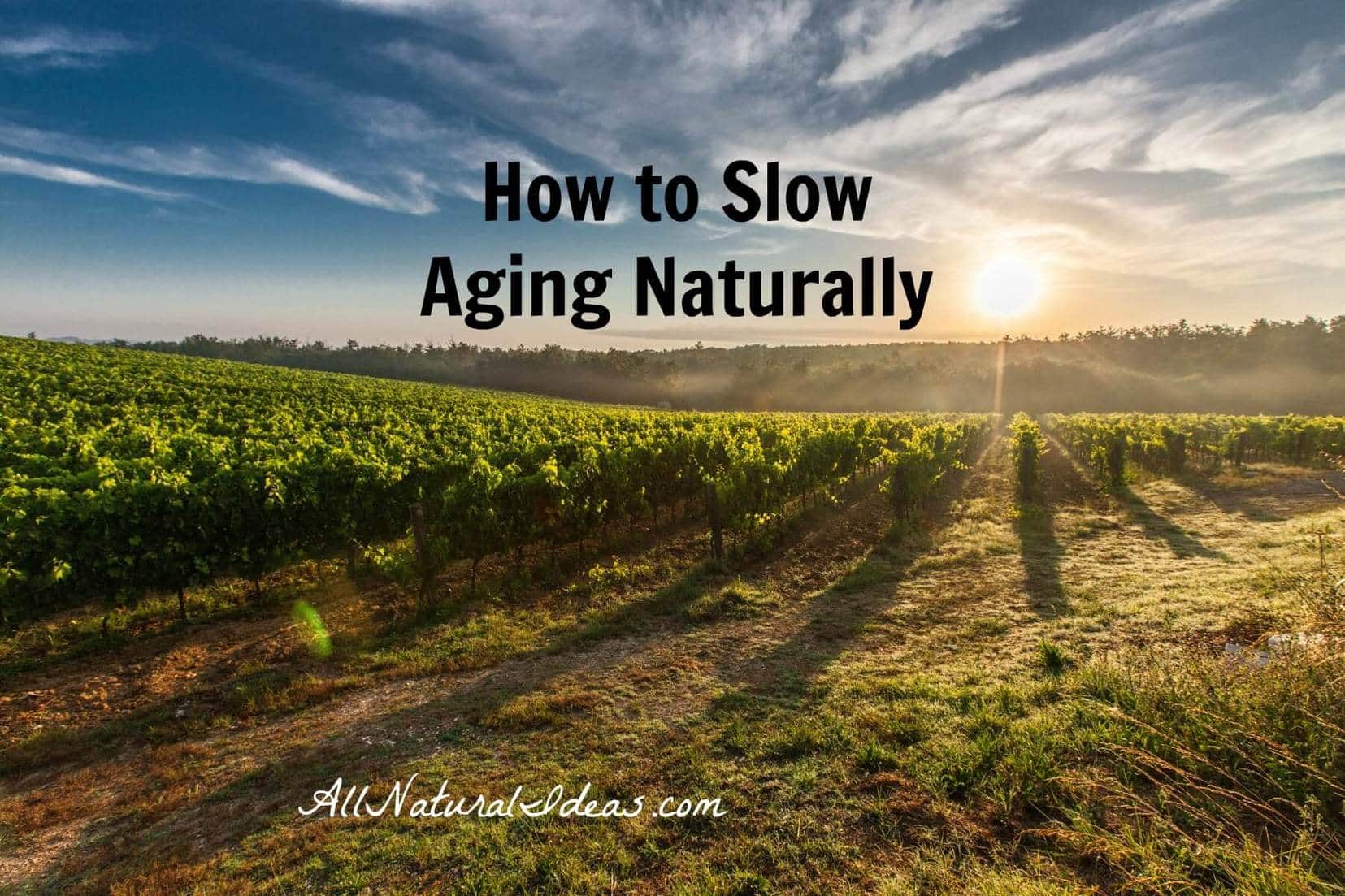 Slow aging naturally