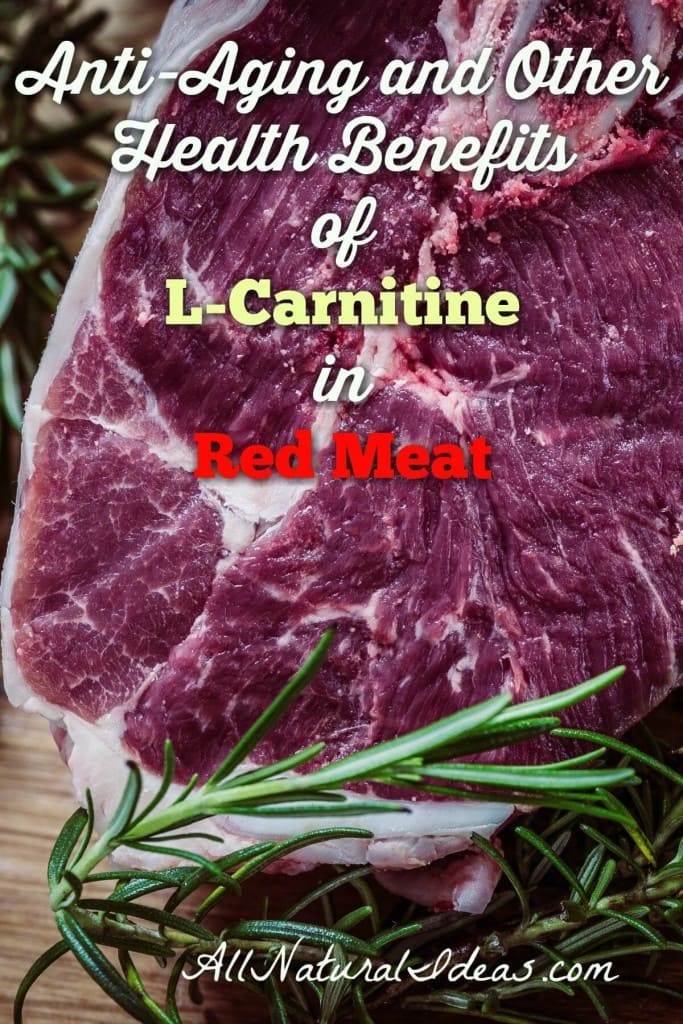 L-carnitine health benefits include slowing down the aging process by boosting the power of cellular mitochondria. Anti-aging is just one of many benefits.