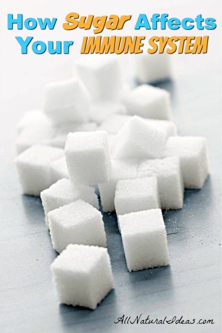 The sugar immune system relationship isn't as straight-forward as you might think. When you have a virus, your immune system requires sugar for survival.