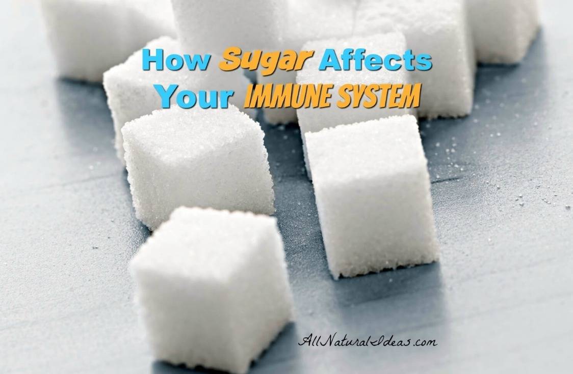 The sugar immune system relationship