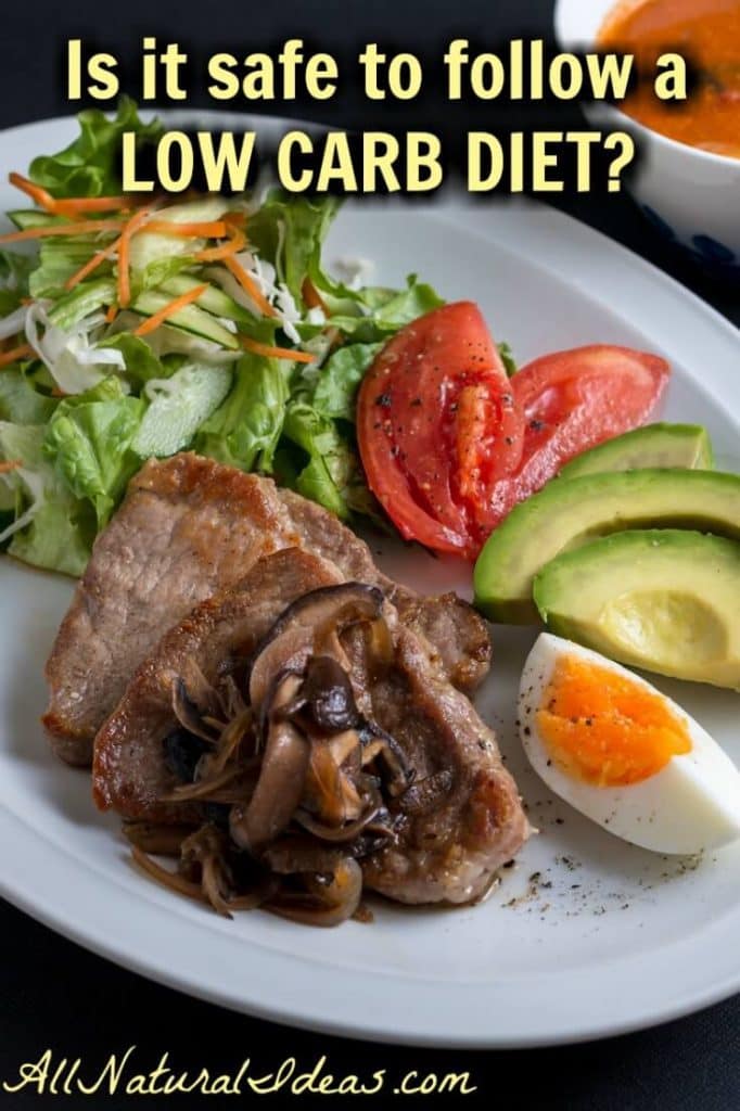 Are low carb diets safe to follow? There is a lot of conflicting information, so let's examine some of available research to answer this question. | allnaturalideas.com