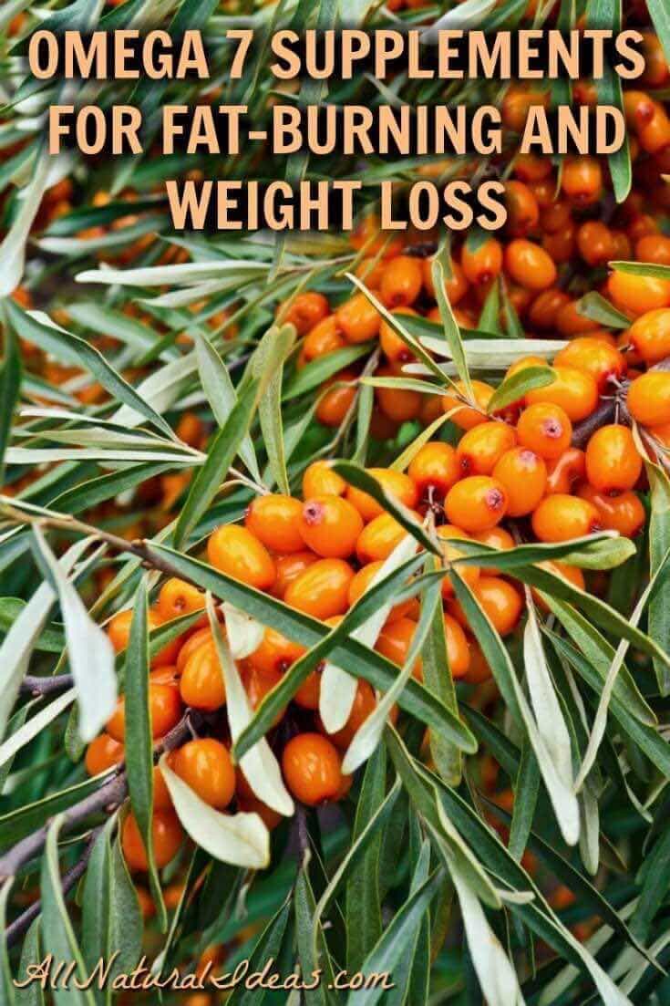 You know about omega 3’s and 6’s. But what about omega 7 fatty acids? Omega 7 weight loss supplements may encourage fat-burning and other benefits.