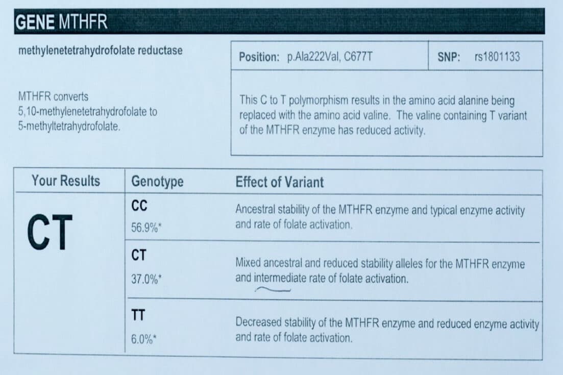 MTHFR gene mutation test info 1