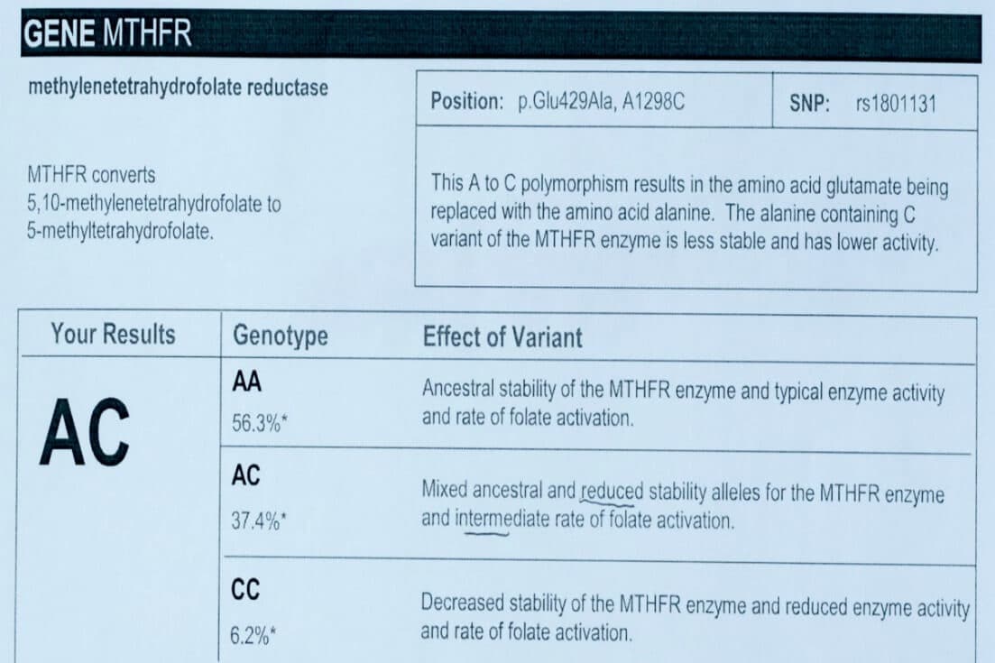 MTHFR gene mutation test info 2
