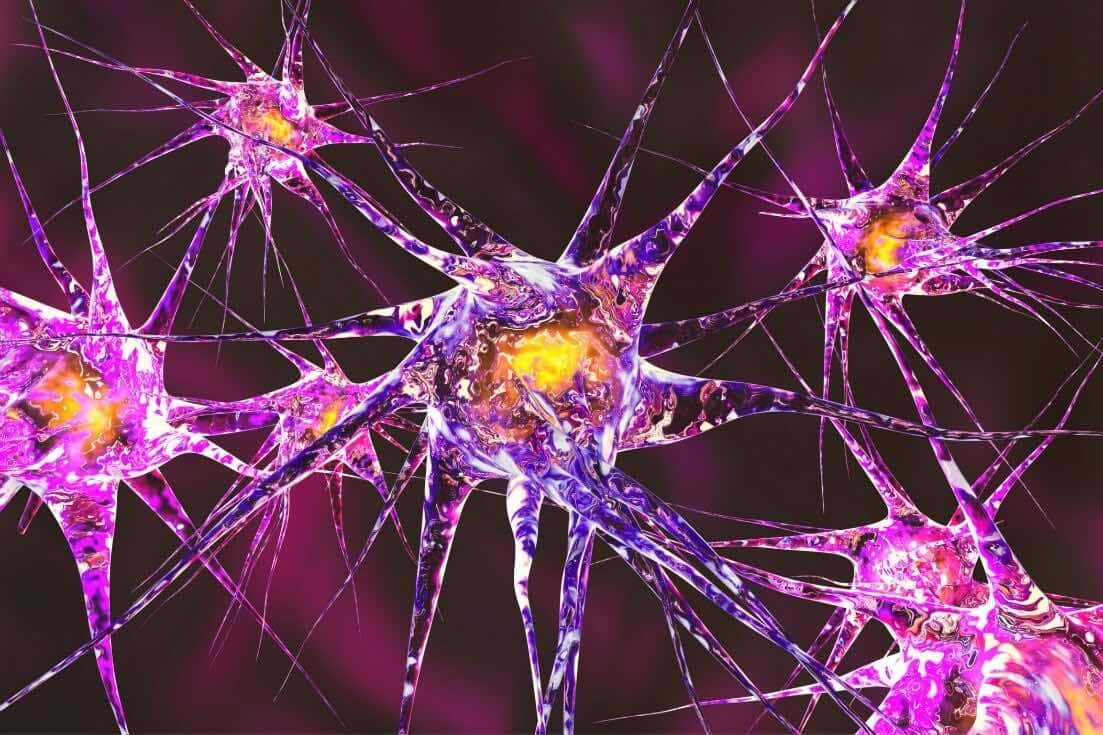 Is neurotransmitter imbalance testing needed?
