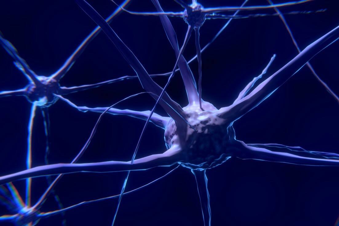Is there a need for neurotransmitter imbalance testing?