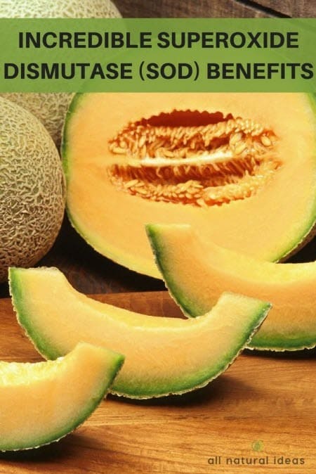 Are there superoxide dismutase supplement benefits?