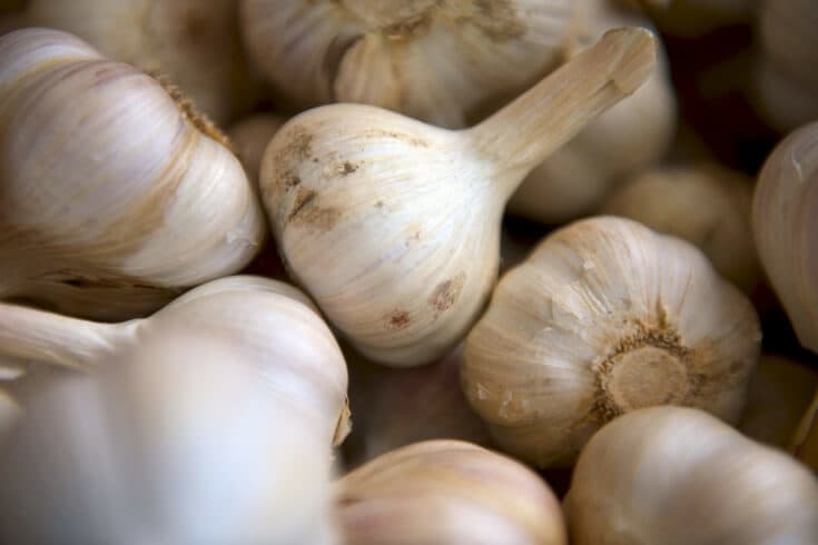 How to get rid of ringworm fast - garlic