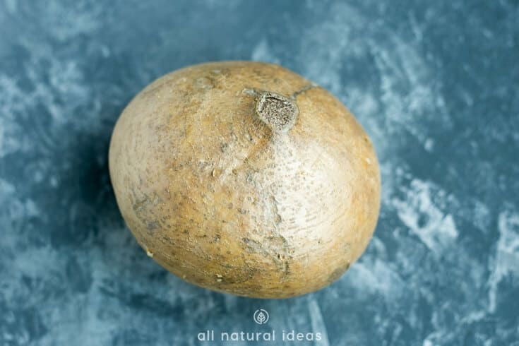 Mexican yam bean jicama benefits
