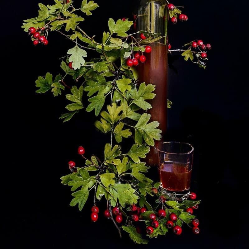 Hawthorn berry tincture