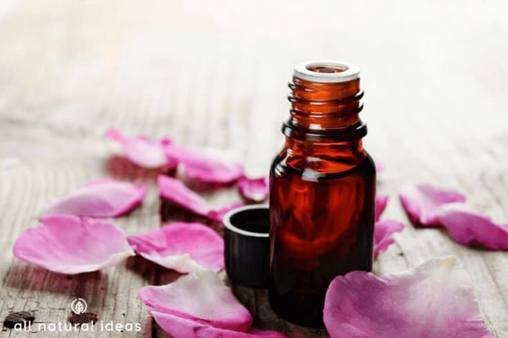 Marula Oil for Hair Growth: Does it work? Is it better than Argan oil?