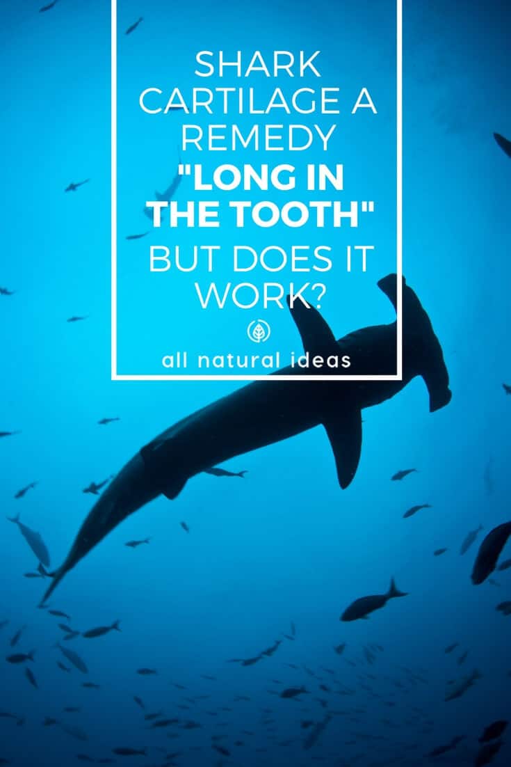 Shark cartilage is mostly used for joint health. But there may be other shark cartilage benefits, including hair growth, skin care, cancer and more. That being said, though, is it safe to take? And, is it really effective?