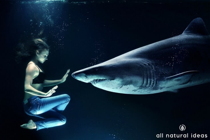 Shark cartilage is mostly used for joint health. But there may be other shark cartilage benefits, including hair growth, skin care, cancer and more. That being said, though, is it safe to take? And, is it really effective?