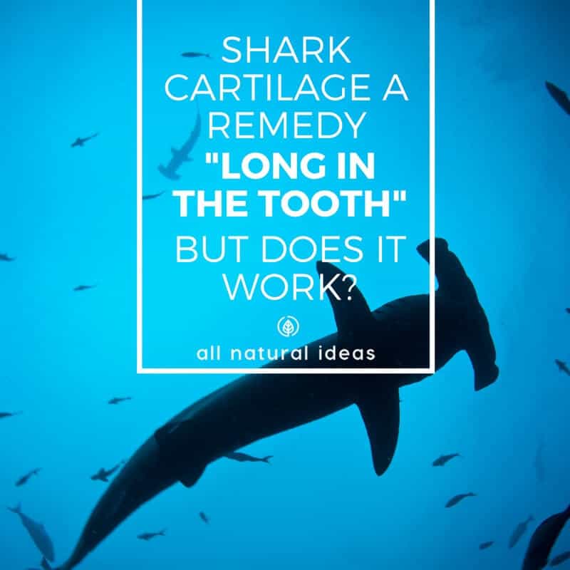 Shark cartilage is mostly used for joint health. But there may be other shark cartilage benefits, including hair growth, skin care, cancer and more. That being said, though, is it safe to take? And, is it really effective?