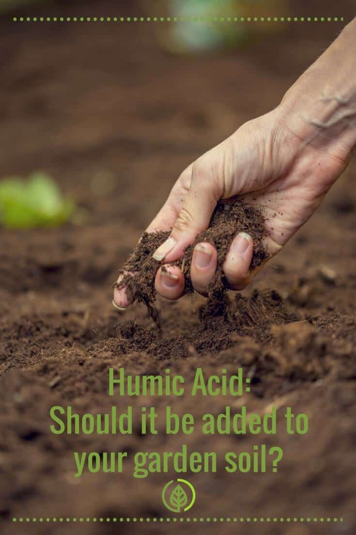 Love to get your hands dirty in the soil? If you’re not familiar with humic acid, get to know it. It’s like a natural steroid for plant growth. And it works by promoting hormone activity in plants. Here’s more info on humic acid, especially its benefits for plants.