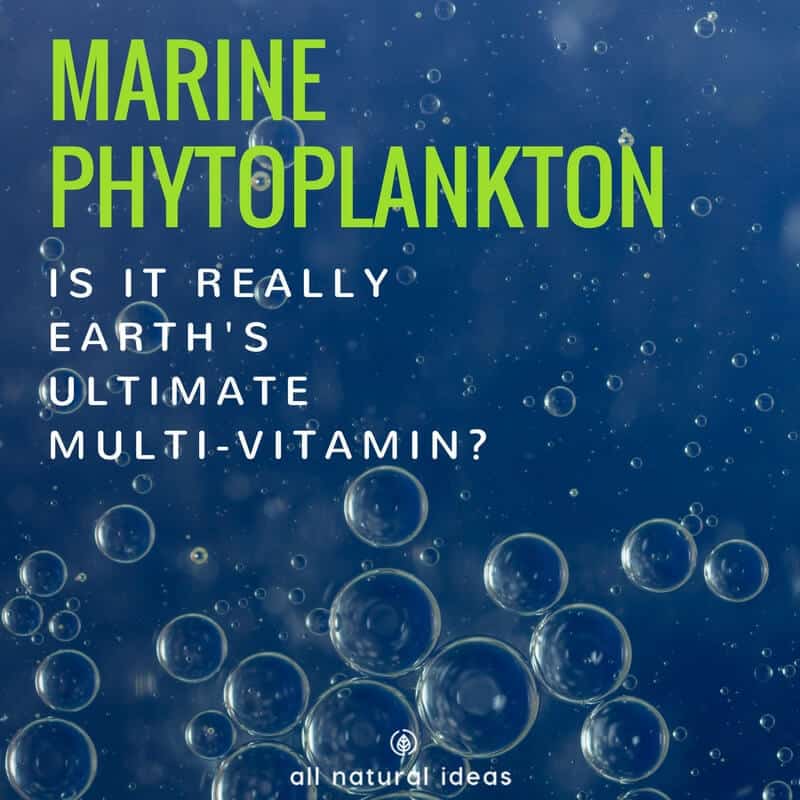 Marine phytoplankton is a nutrient-rich supplement containing a vast array of nutrition. But is it safe to take, considering the state of the Earth's polluted waters?