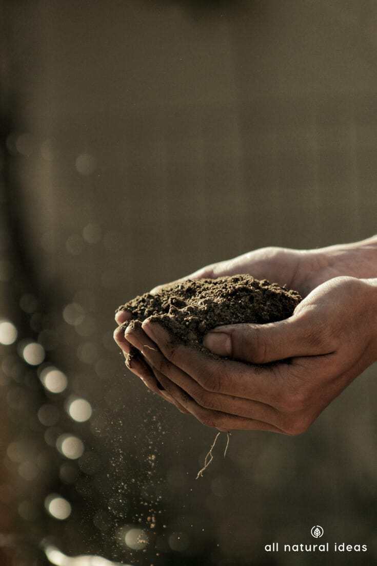 Love to get your hands dirty in the soil? If you’re not familiar with humic acid, get to know it. It’s like a natural steroid for plant growth. And it works by promoting hormone activity in plants.