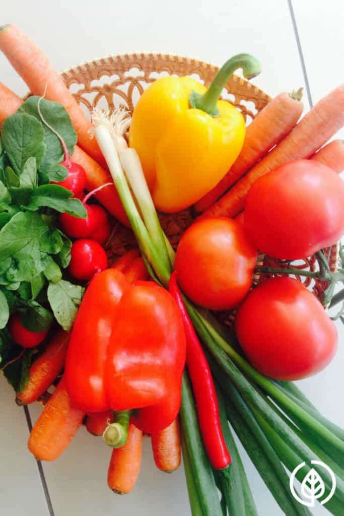 When you get sick, do you stay sick? Is your eyesight getting worse? And do you feel weaker, in general? If so, you could have a vitamin E deficiency. Not as well-known as other vitamins, perhaps it’s time to get to know this major antioxidant….