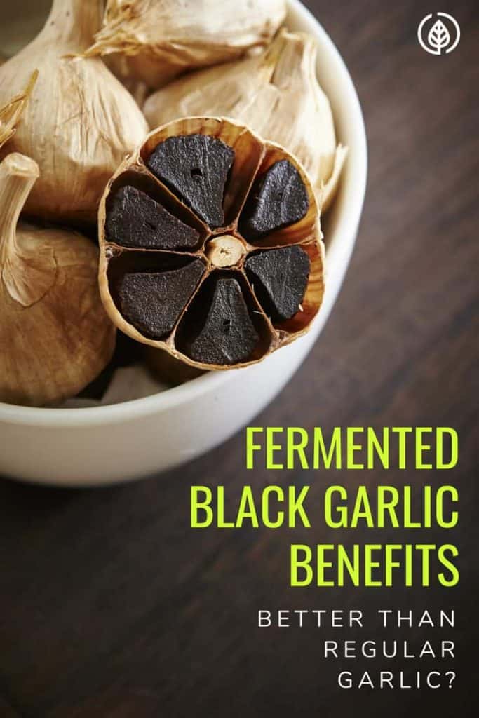 Like the taste of garlic but not the way it leaves your breath smelling? What if you can enjoy the taste without the bad breath? That’s one of the many fermented black garlic benefits.