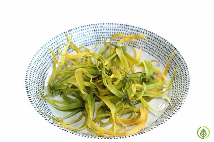 Ylang ylang oil benefits are numerous, including helping you relax and reduce stress, and possibly even boosting your sex drive.