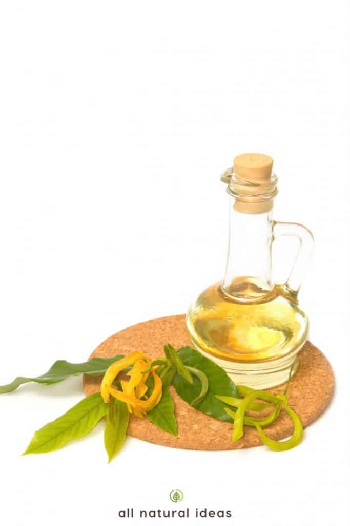 Ylang ylang oil benefits are numerous, including helping you relax and reduce stress, and possibly even boosting your sex drive.