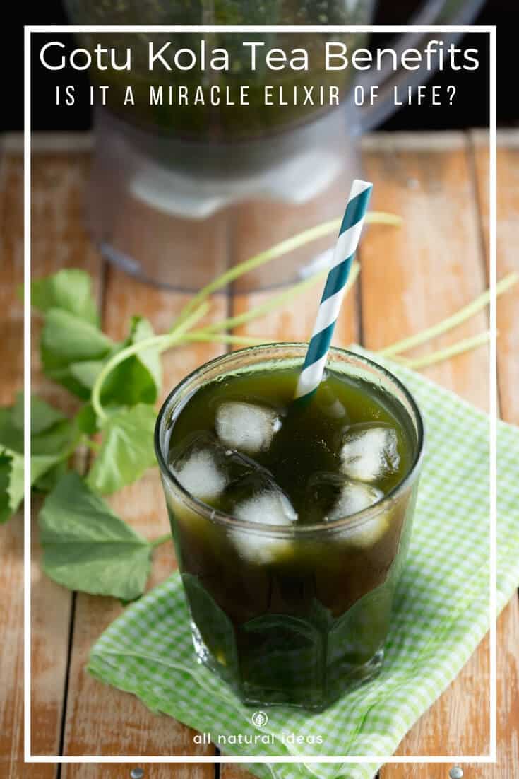 Gotu kola tea benefits are numerous unlike the "cola" you probably grew up drinking. For thousands of years, traditional Chinese healers have considered this herbal medicine a "miracle elixir of life."