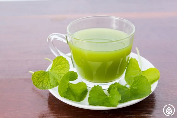 Gotu kola tea benefits are numerous unlike the "cola" you probably grew up drinking. For thousands of years, traditional Chinese healers have considered this herbal medicine a "miracle elixir of life."