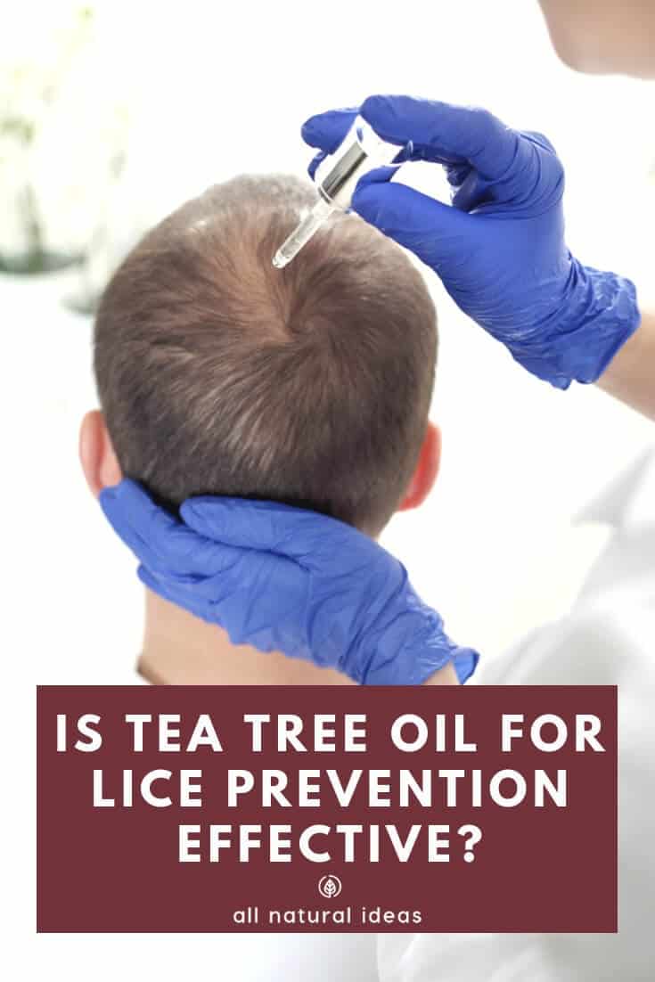 Is head lice a right of passage for kids, like getting chicken pox? Or, can natural remedies such as tea tree oil for lice prevention in shampoo work? Maybe your kid doesn't have to be kept from school if you apply it frequently to your child's scalp....