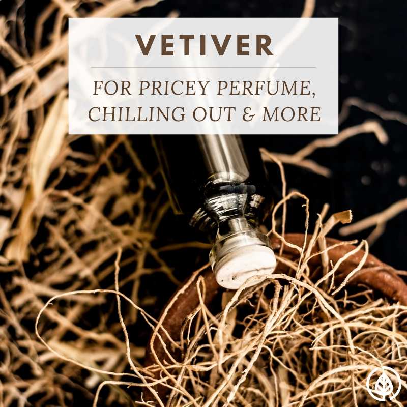 Vetiver Essential Oil