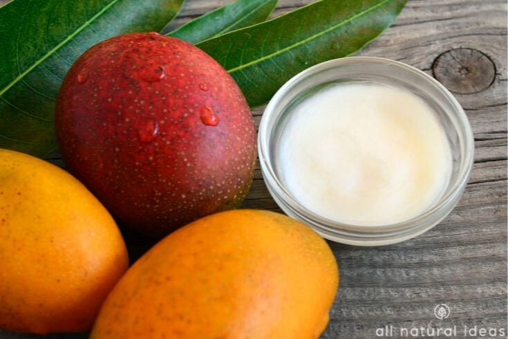 fresh mango bowl of butter